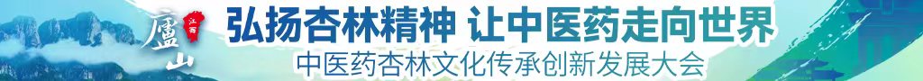 欧美插逼操逼操逼操操逼操逼中医药杏林文化传承创新发展大会